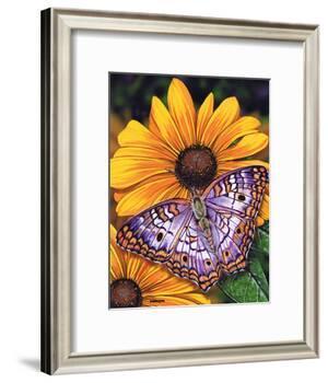 White Peacock-Marilyn Barkhouse-Framed Art Print