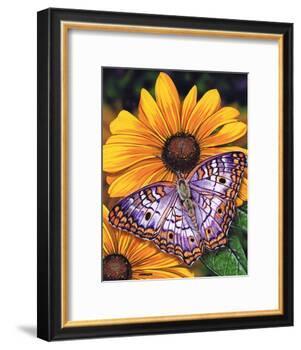 White Peacock-Marilyn Barkhouse-Framed Art Print