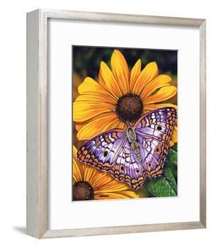 White Peacock-Marilyn Barkhouse-Framed Art Print