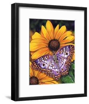 White Peacock-Marilyn Barkhouse-Framed Art Print