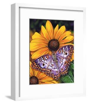 White Peacock-Marilyn Barkhouse-Framed Art Print
