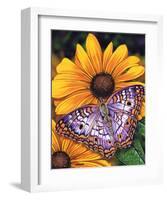 White Peacock-Marilyn Barkhouse-Framed Art Print