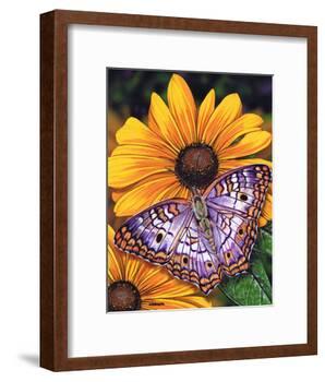 White Peacock-Marilyn Barkhouse-Framed Art Print