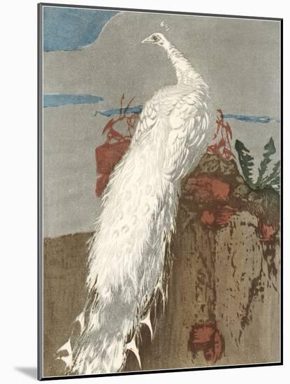White Peacock-null-Mounted Art Print
