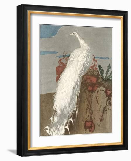White Peacock-null-Framed Art Print