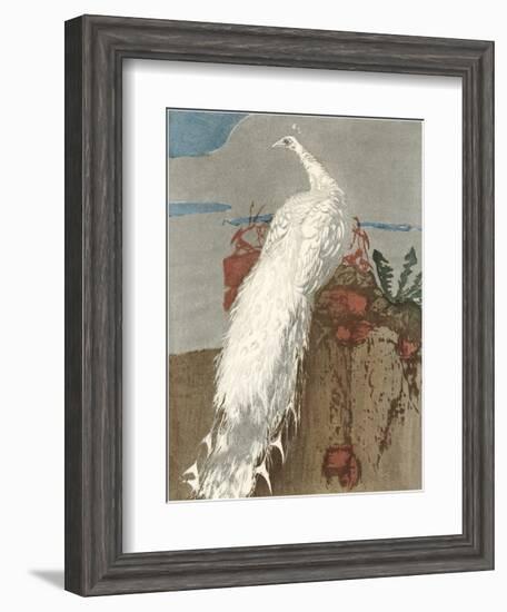 White Peacock-null-Framed Art Print