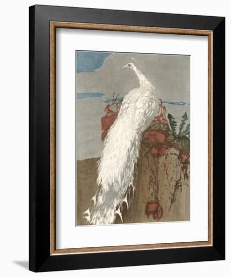 White Peacock-null-Framed Art Print