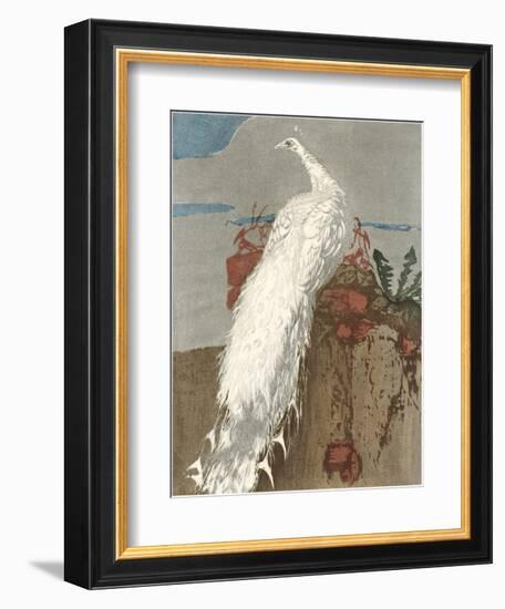 White Peacock-null-Framed Art Print