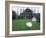 White Peacocks in Front of Folly, Isola Bella, Lake Maggiore, Piedmont, Italy-Sheila Terry-Framed Photographic Print