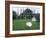 White Peacocks in Front of Folly, Isola Bella, Lake Maggiore, Piedmont, Italy-Sheila Terry-Framed Photographic Print