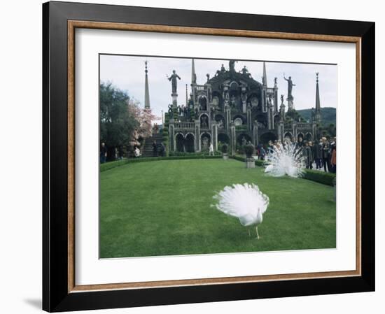 White Peacocks in Front of Folly, Isola Bella, Lake Maggiore, Piedmont, Italy-Sheila Terry-Framed Photographic Print