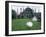 White Peacocks in Front of Folly, Isola Bella, Lake Maggiore, Piedmont, Italy-Sheila Terry-Framed Photographic Print