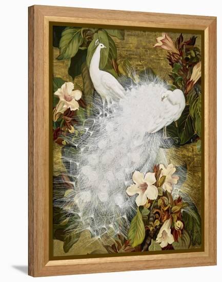 White Peacocks on Pink Hibiscus-Jesse Arms Botke-Framed Stretched Canvas