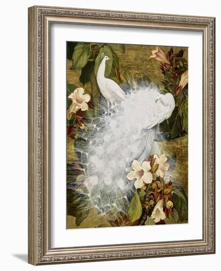 White Peacocks on Pink Hibiscus-Jesse Arms Botke-Framed Art Print