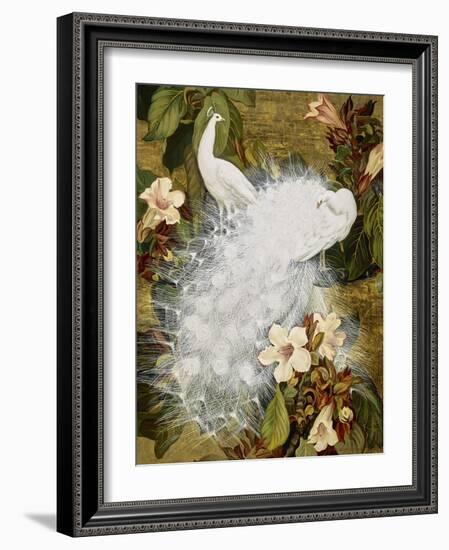 White Peacocks on Pink Hibiscus-Jesse Arms Botke-Framed Art Print