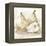 White Pear Study I-Ethan Harper-Framed Stretched Canvas