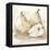 White Pear Study I-Ethan Harper-Framed Stretched Canvas