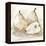 White Pear Study I-Ethan Harper-Framed Stretched Canvas
