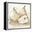 White Pear Study I-Ethan Harper-Framed Stretched Canvas