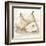 White Pear Study I-Ethan Harper-Framed Art Print