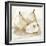 White Pear Study I-Ethan Harper-Framed Art Print