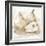 White Pear Study I-Ethan Harper-Framed Art Print