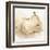 White Pear Study II-Ethan Harper-Framed Art Print