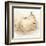 White Pear Study II-Ethan Harper-Framed Art Print