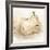 White Pear Study II-Ethan Harper-Framed Art Print