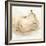 White Pear Study II-Ethan Harper-Framed Art Print