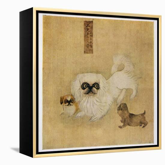 White Pekingese Dog and Puppies as Depicted in an Imperial Dog Book-null-Framed Premier Image Canvas