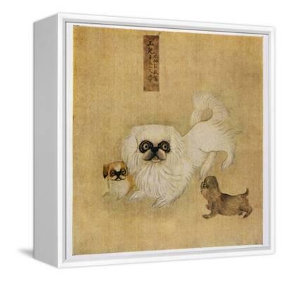 ペキニーズ書籍4冊セット 本 洋書 写真 pekingese PEKINGESE White Pekingese Dog and Puppies as Depicted in an Imperial Dog