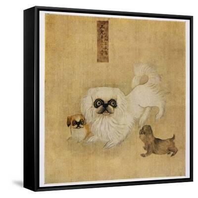White Pekingese Dog and Puppies as Depicted in an Imperial Dog