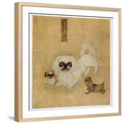 white-pekingese-dog-and-