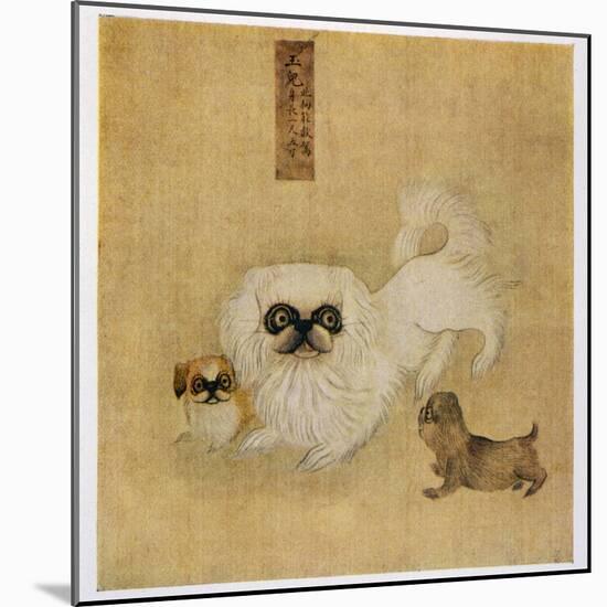 White Pekingese Dog and Puppies as Depicted in an Imperial Dog Book-null-Mounted Photographic Print