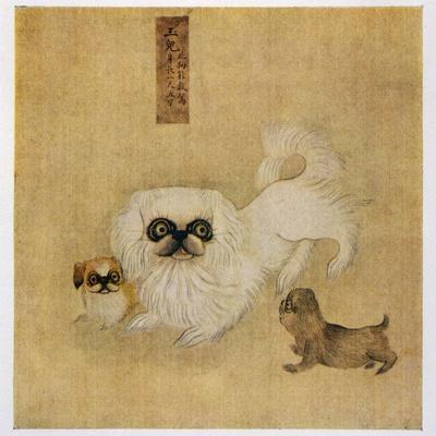 White Pekingese Dog and Puppies as Depicted in an Imperial Dog