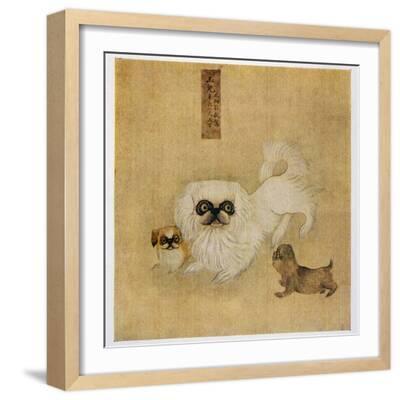 white-pekingese-dog-and-