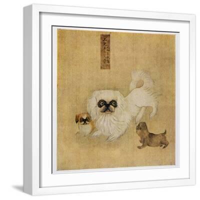 white-pekingese-dog-and-