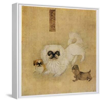 white-pekingese-dog-and-