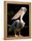 White Pelican, Everglades, Florida, USA-Gavriel Jecan-Framed Premier Image Canvas