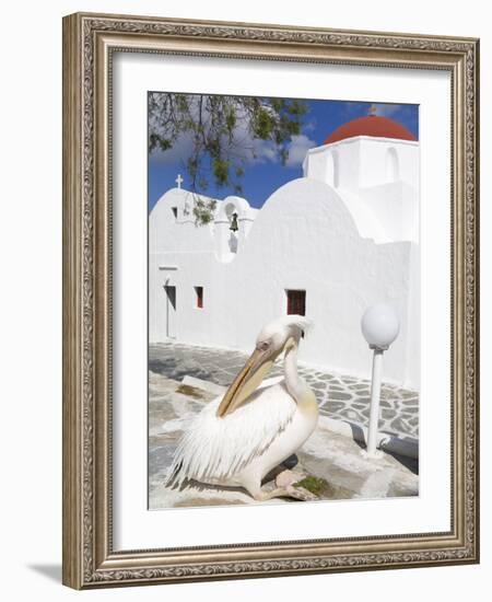 White Pelican in Mykonos Town, Island of Mykonos, Cyclades, Greek Islands, Greece, Europe-Richard Cummins-Framed Photographic Print