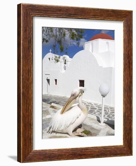 White Pelican in Mykonos Town, Island of Mykonos, Cyclades, Greek Islands, Greece, Europe-Richard Cummins-Framed Photographic Print