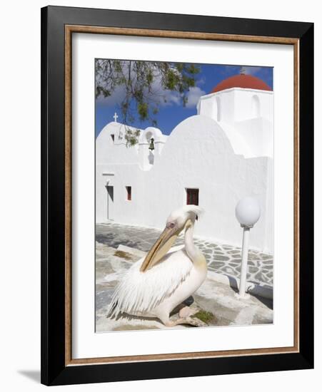 White Pelican in Mykonos Town, Island of Mykonos, Cyclades, Greek Islands, Greece, Europe-Richard Cummins-Framed Photographic Print