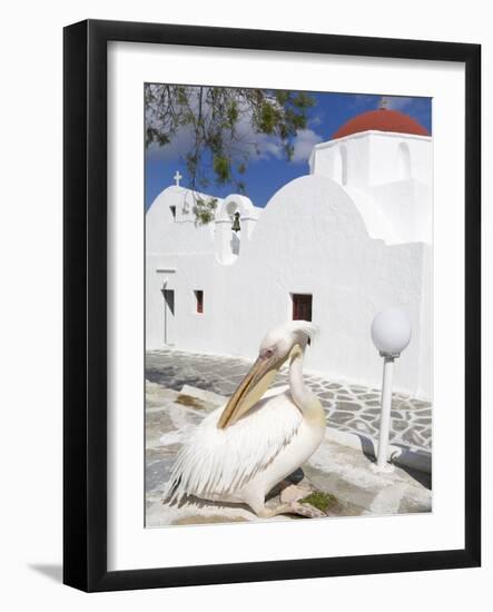 White Pelican in Mykonos Town, Island of Mykonos, Cyclades, Greek Islands, Greece, Europe-Richard Cummins-Framed Photographic Print