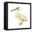 White Pelican (Pelecanus Erythrorhynchos), Birds-Encyclopaedia Britannica-Framed Stretched Canvas