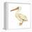 White Pelican (Pelecanus Erythrorhynchos), Birds-Encyclopaedia Britannica-Framed Stretched Canvas