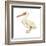 White Pelican (Pelecanus Erythrorhynchos), Birds-Encyclopaedia Britannica-Framed Art Print