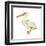 White Pelican (Pelecanus Erythrorhynchos), Birds-Encyclopaedia Britannica-Framed Art Print