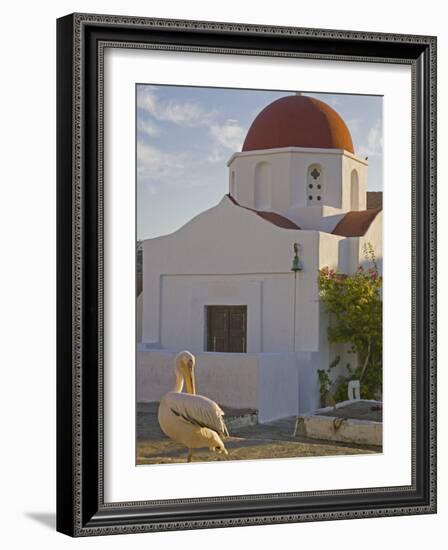 White Pelican Preening, Hora, Mykonos, Greece-Darrell Gulin-Framed Photographic Print