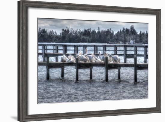 White Pelicans and Piers-Robert Goldwitz-Framed Photographic Print
